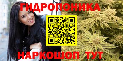 круглые Тверь