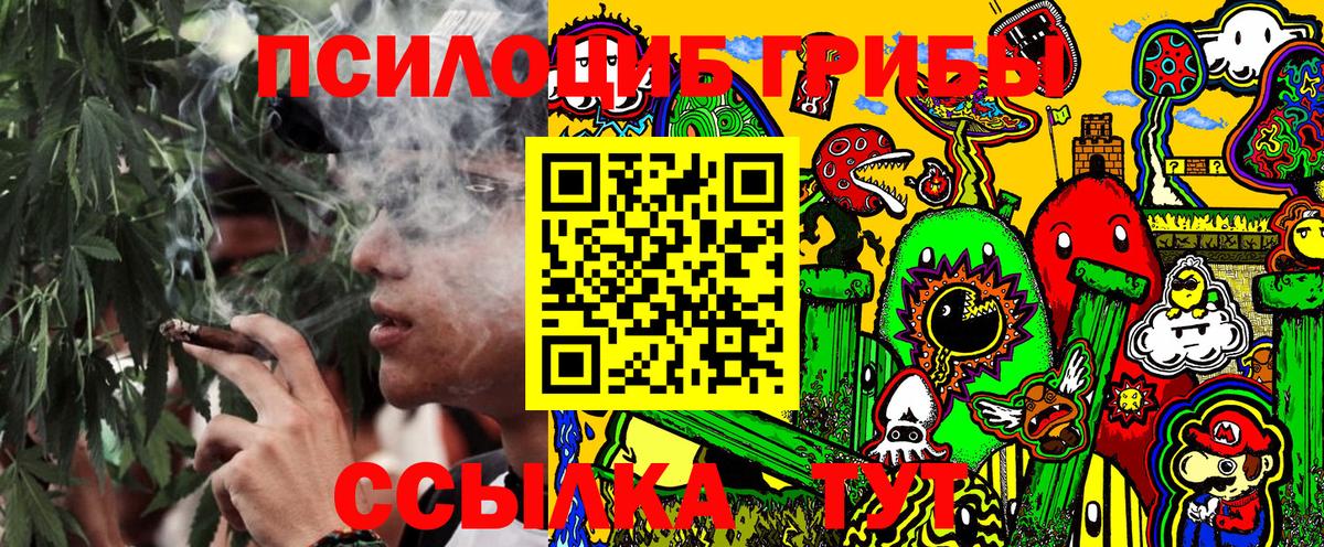 Коряжма  Галлюциногенные грибы прущие грибы  Псилоцибиновые грибы MAGIC MUSHROOMS  Вход с VPN 