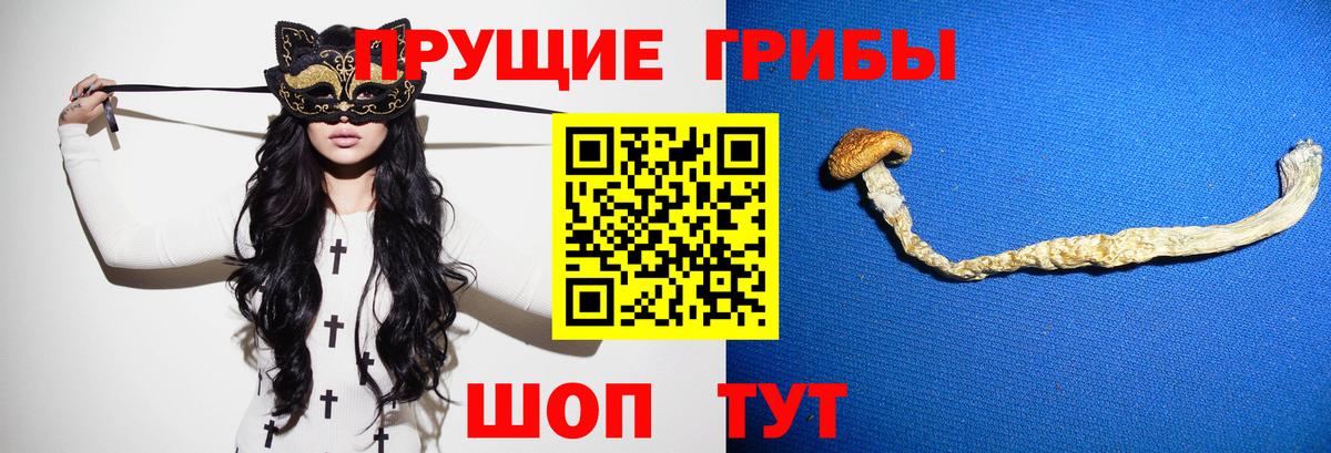 Псилоцибиновые грибы Cubensis Коряжма